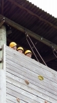 P1000964