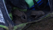 DSC01555