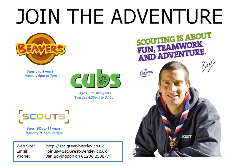 Join Scouting - Bear